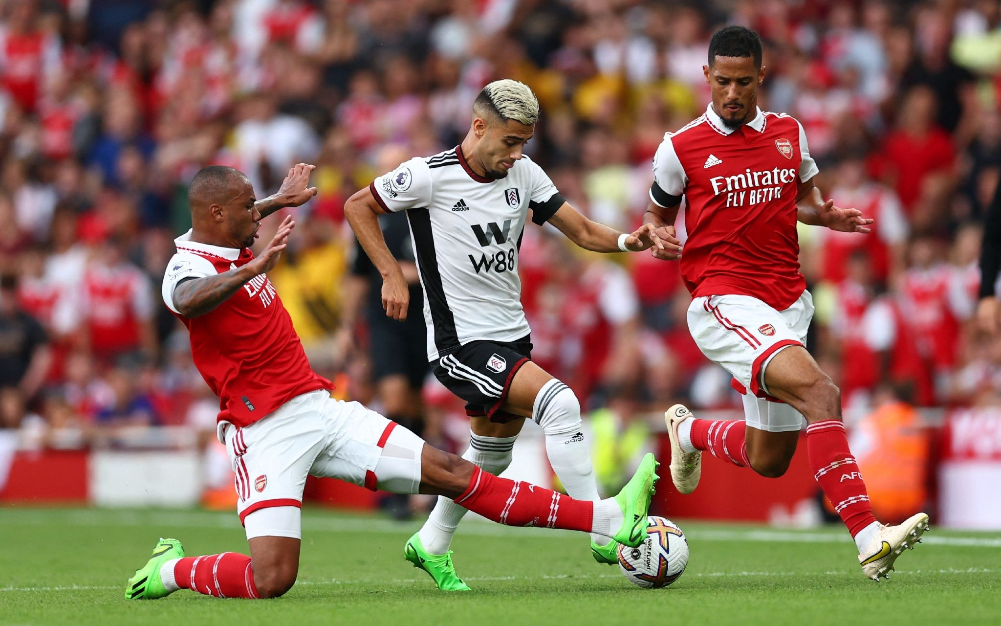 撕破普利茅 撕破普利茅