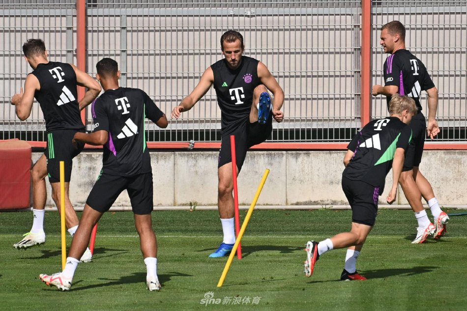 向擅于在关 向擅于在关